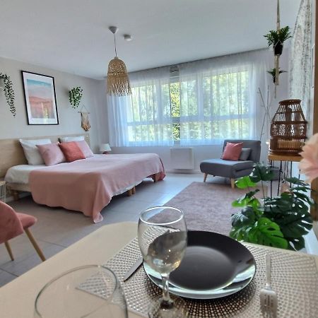 Апартаменты L'Amazonie - Roissy Cdg - Parc Asterix - Paris Moussy-le-Neuf Экстерьер фото